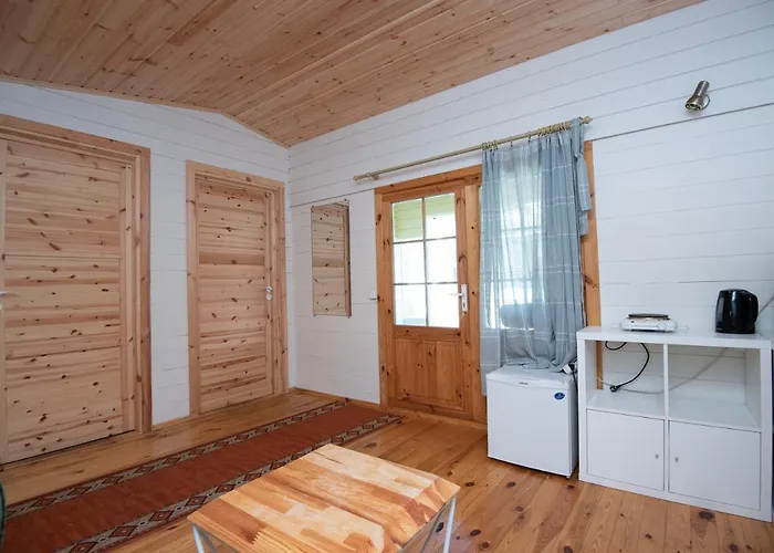 Vytauto 50a * Παλάγκα