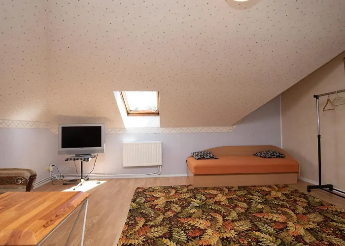 דירה Vytauto 50a *